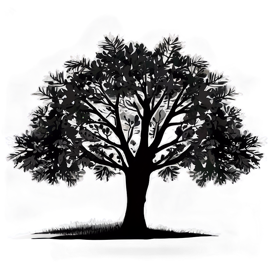 Calm Tree Silhouette Png 05252024 PNG Image