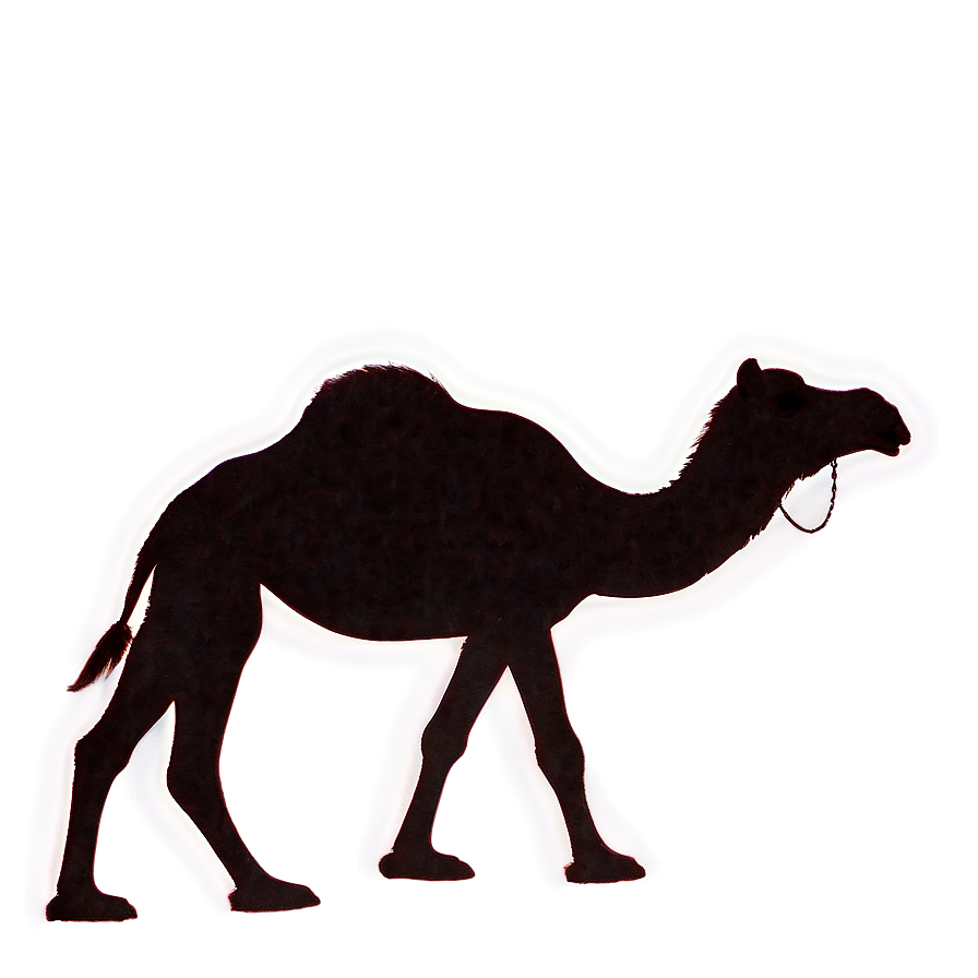 Camel Silhouette At Night Png Rad PNG Image