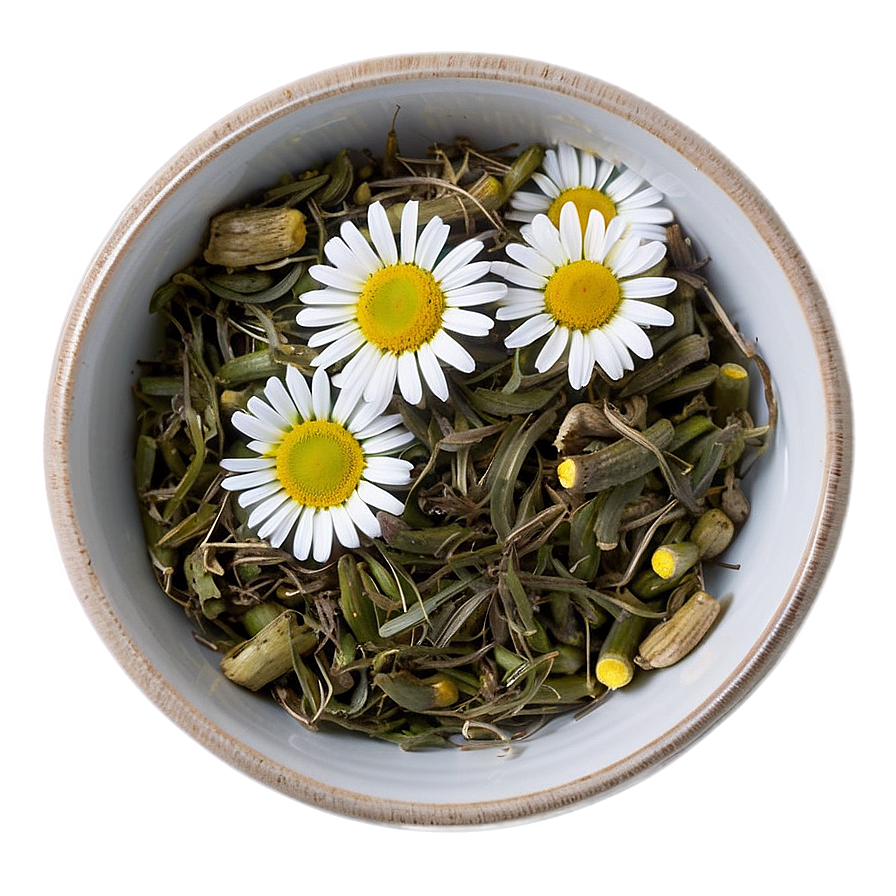 Camomile Tea Relaxation Png 70 PNG Image