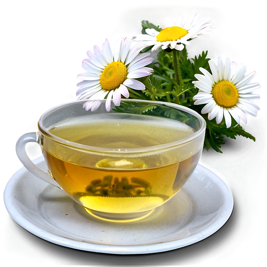 Camomile Tea Relaxation Png Idq PNG Image