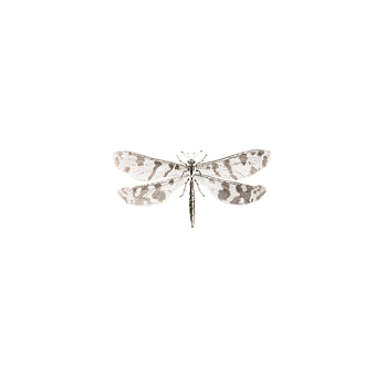 Camouflaged Dragonflyon Black Background PNG Image