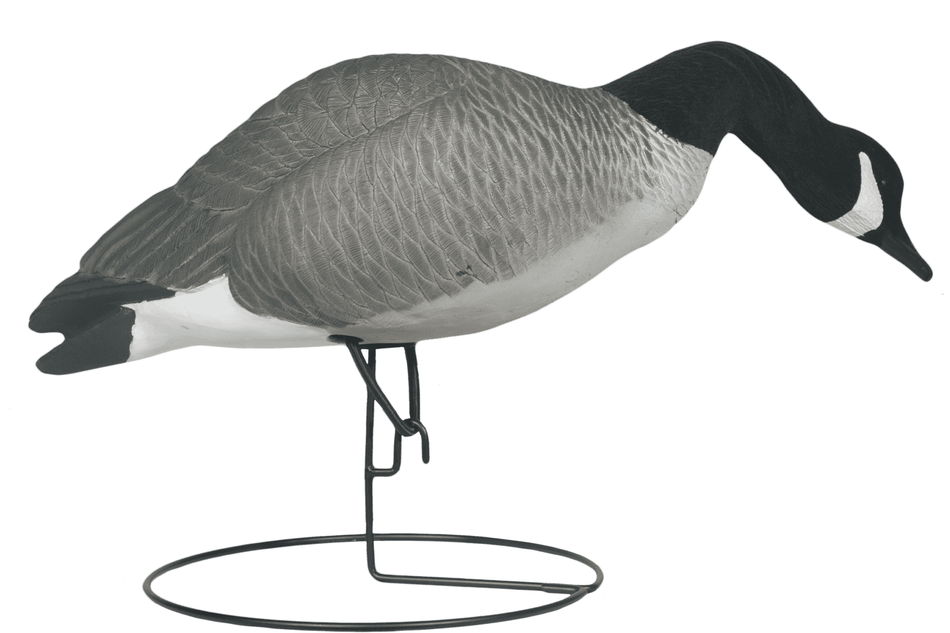 Canada Goose Decoy Stand PNG Image