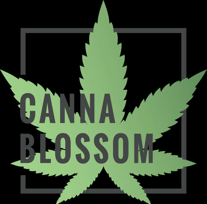 Canna Blossom_ Weed Leaf_ Graphic PNG Image