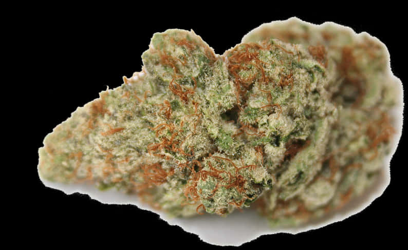 Cannabis Bud Closeup PNG Image