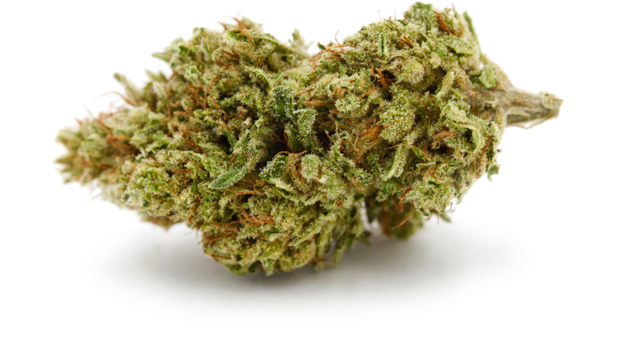 Cannabis Bud Closeup PNG Image