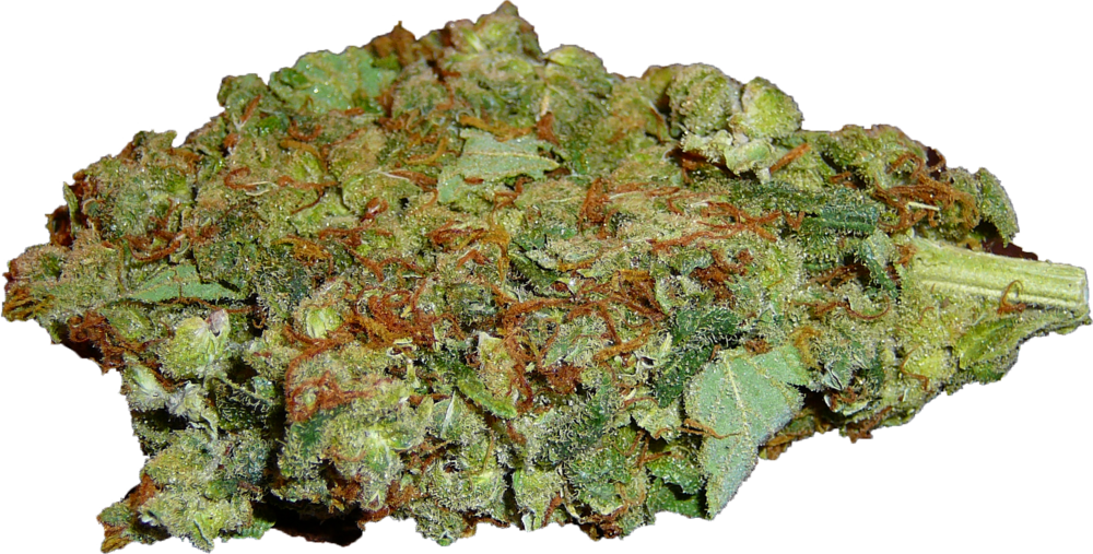 Cannabis Bud Closeup.png PNG Image