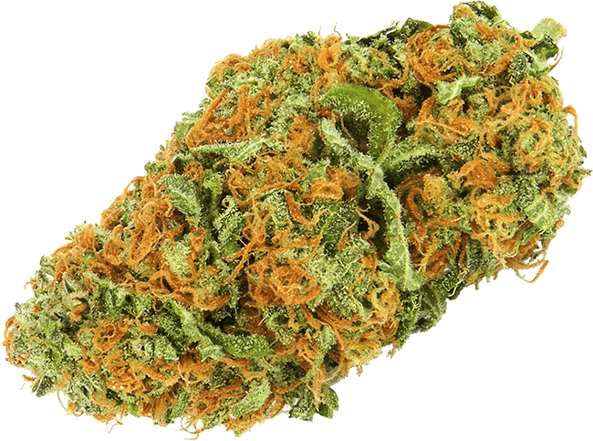 Cannabis Bud Closeup.png PNG Image