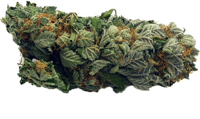 Cannabis Bud Closeup.png PNG Image