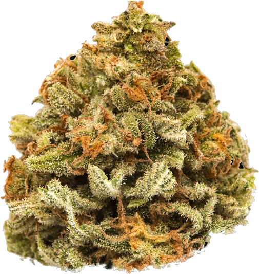 Cannabis Bud Closeup PNG Image