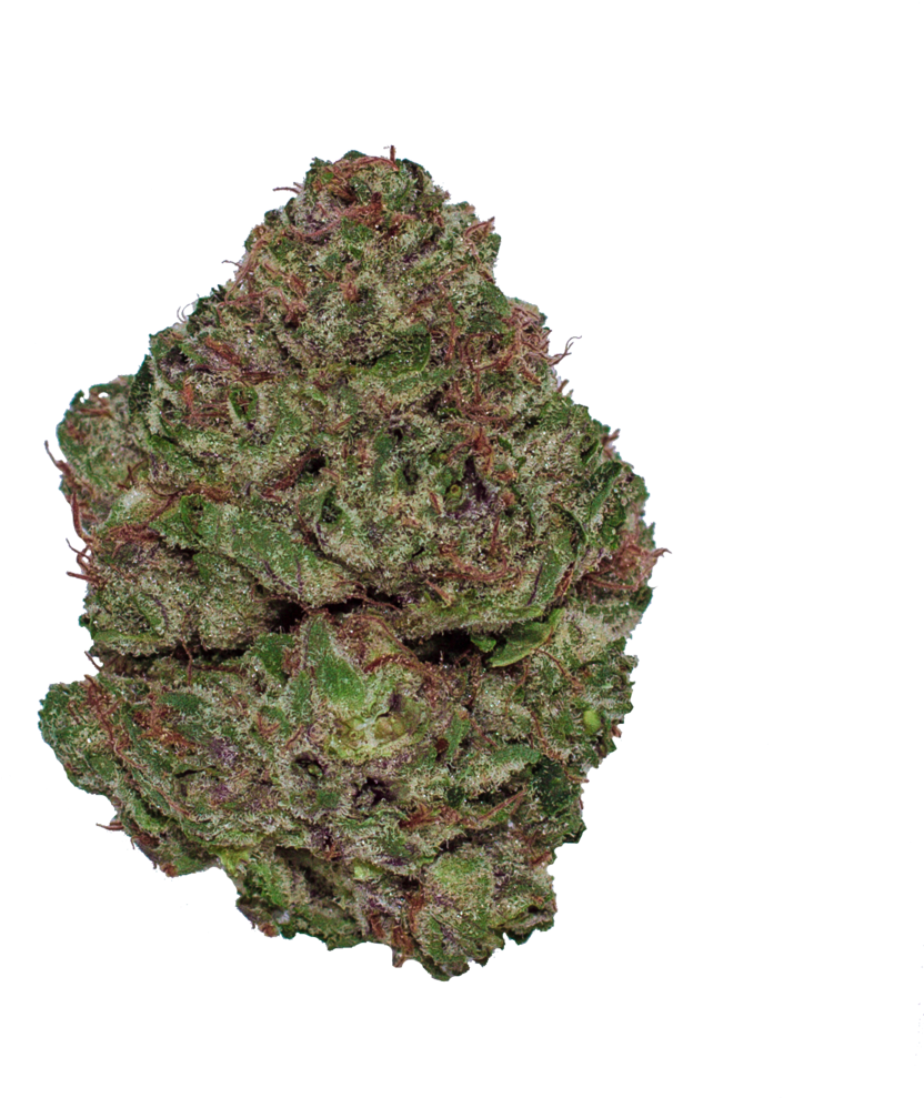 Cannabis Bud Closeup PNG Image