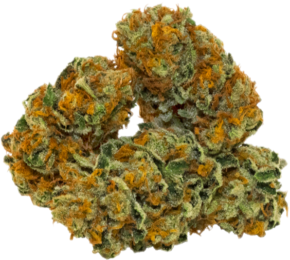 Cannabis Buds Closeup.png PNG Image