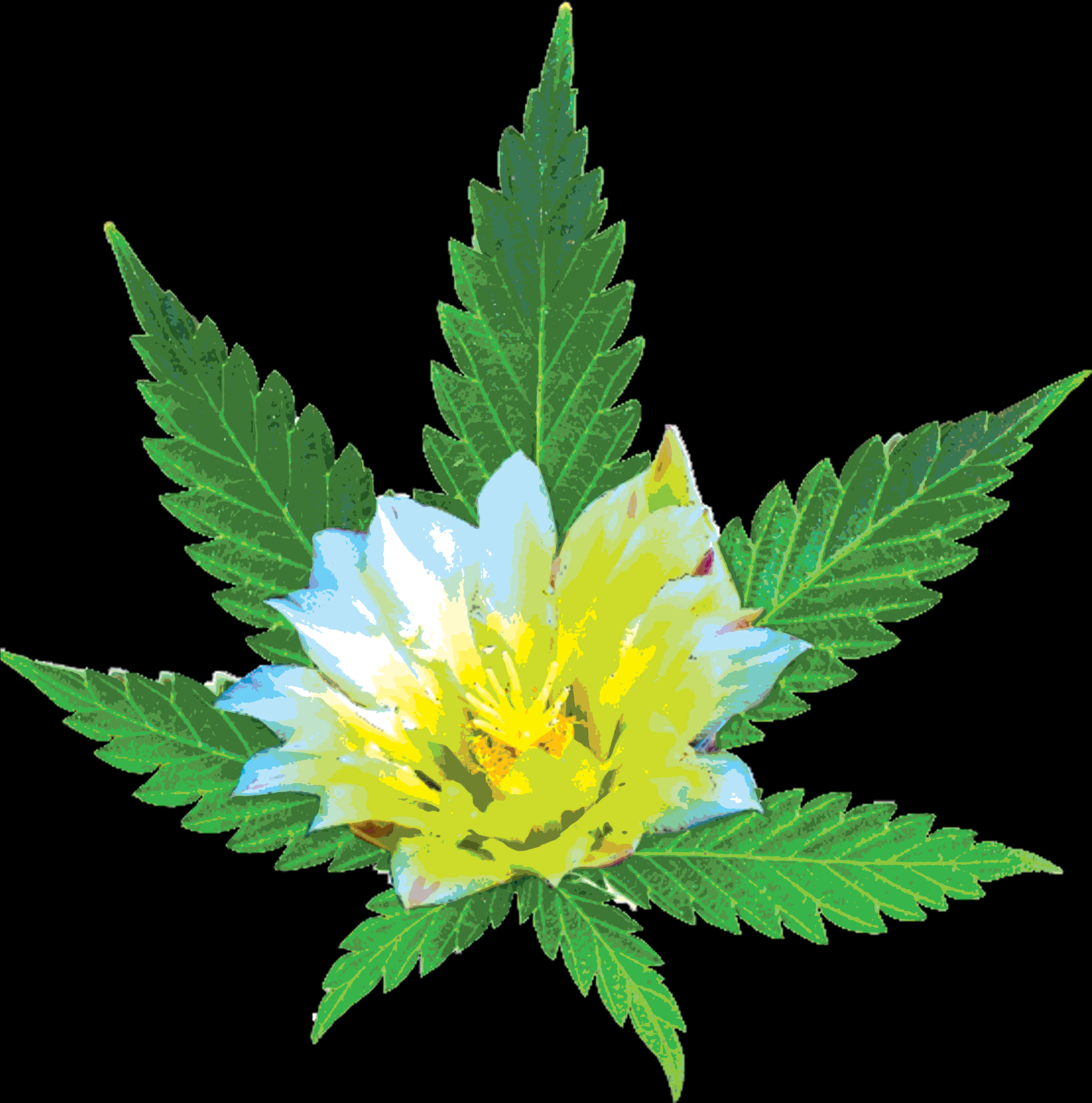 Cannabis Flower Hybrid Artwork PNG Image