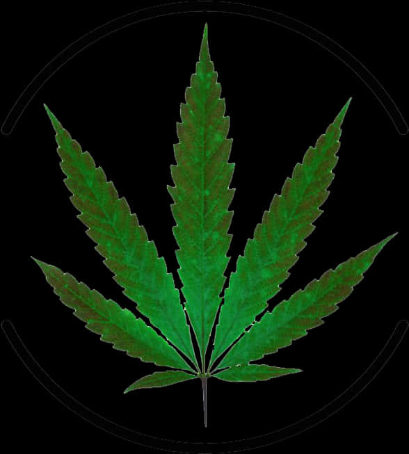 Cannabis Leaf Black Background PNG Image