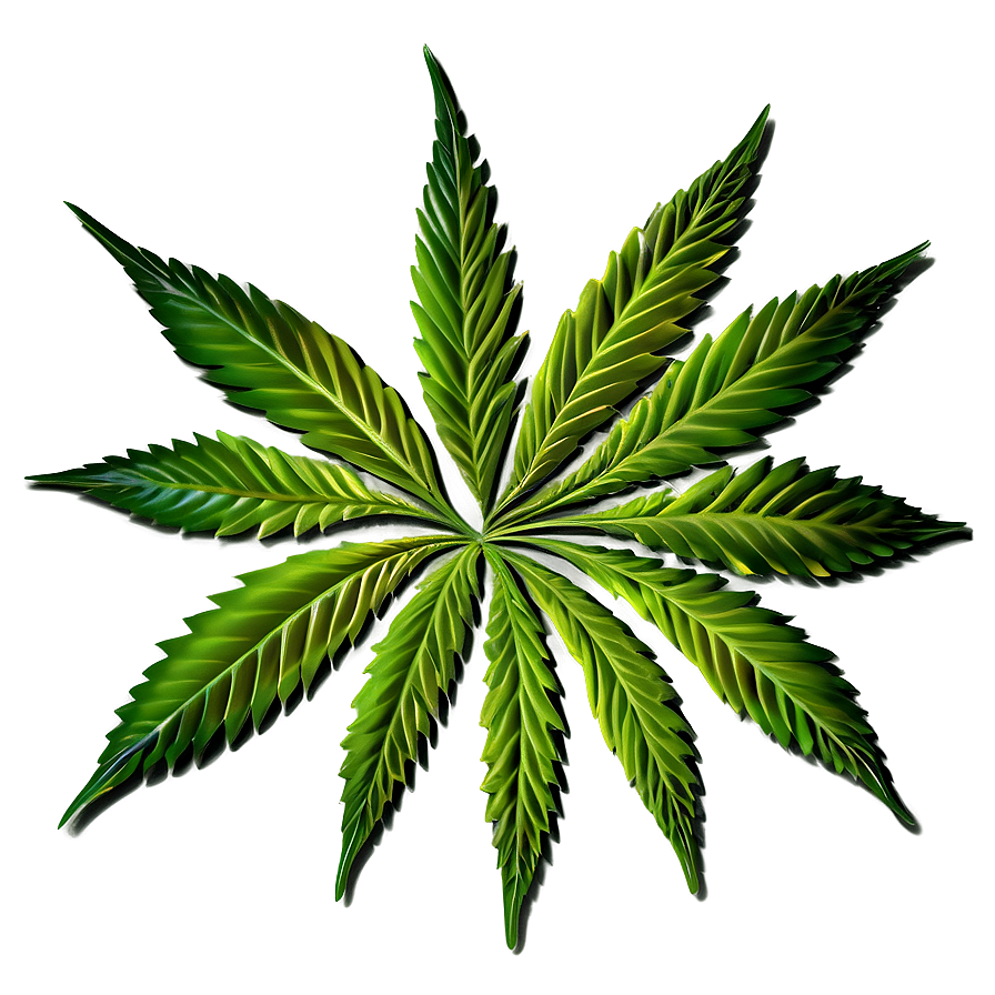 Cannabis Leaf Pattern Png 74 PNG Image