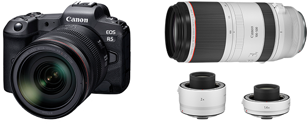 Canon E O S R5and Lens Accessories PNG Image