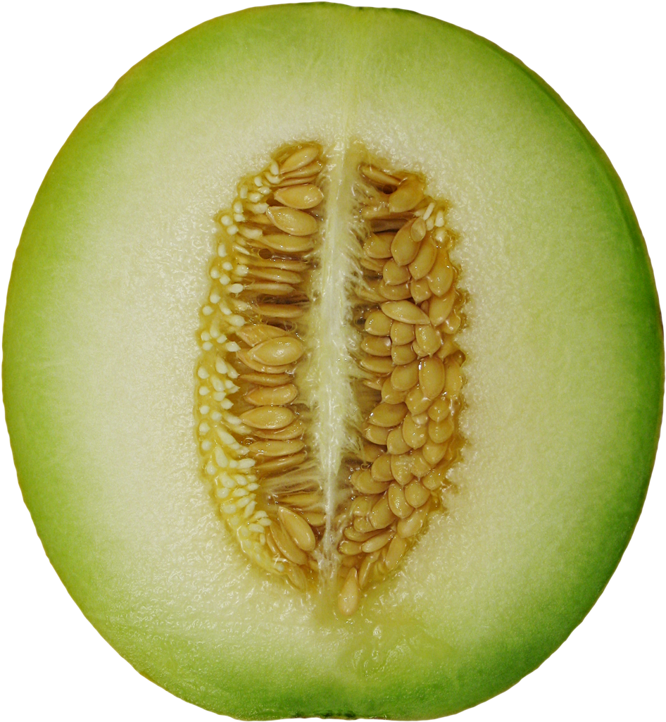 Cantaloupe Cross Section PNG Image