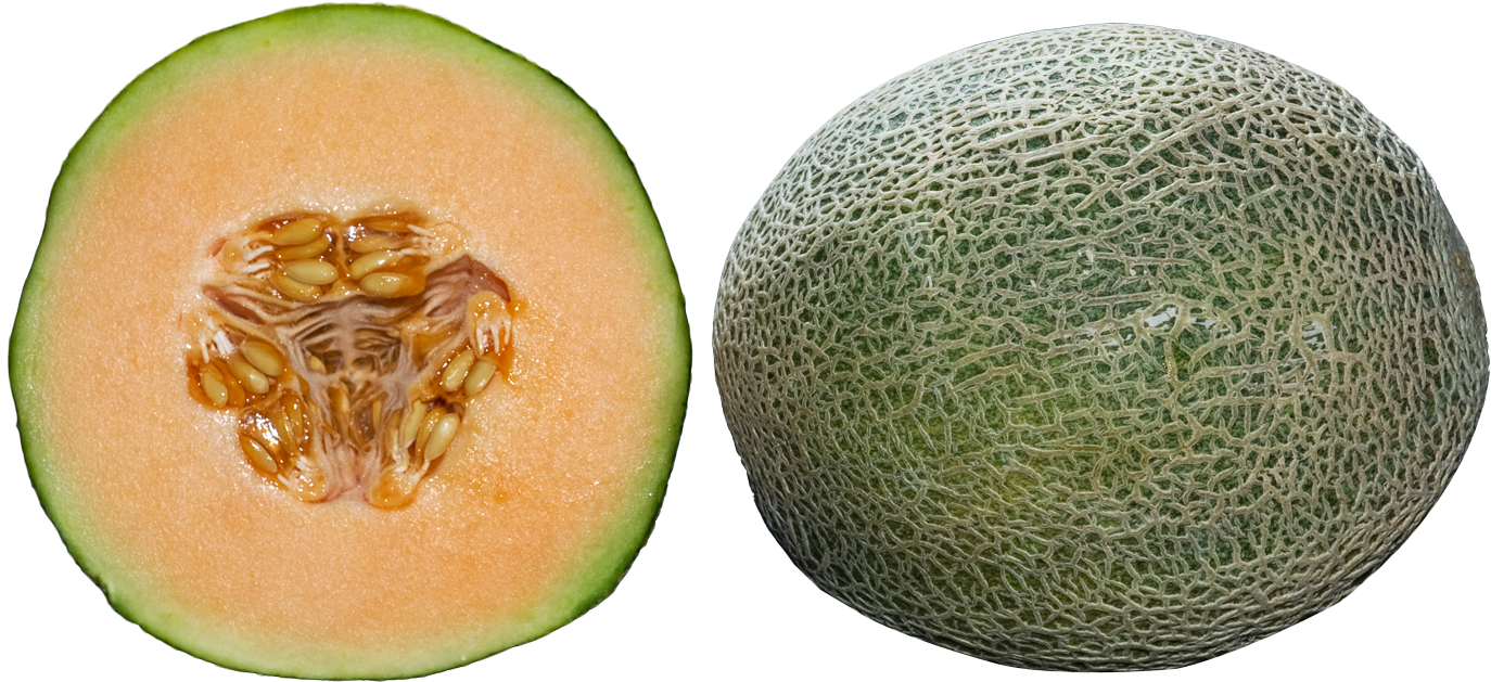 Cantaloupe Halfand Whole PNG Image