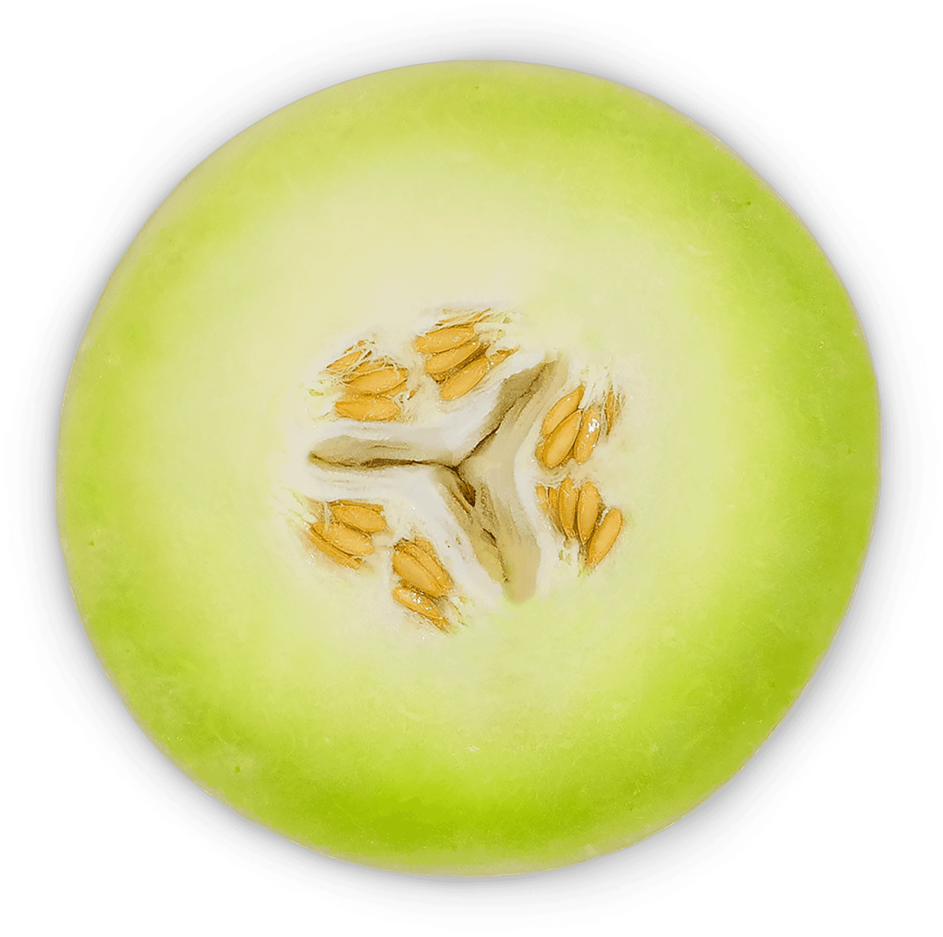 Cantaloupe Slice Closeup.png PNG Image