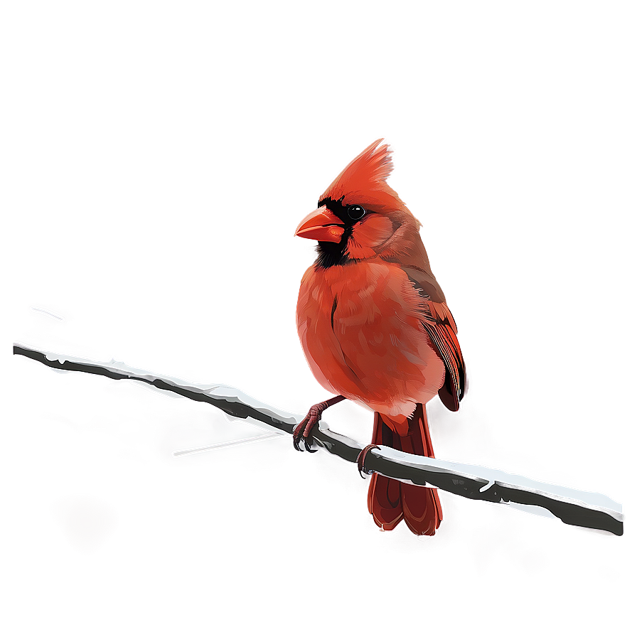 Cardinal Vector Art Png 05242024 PNG Image