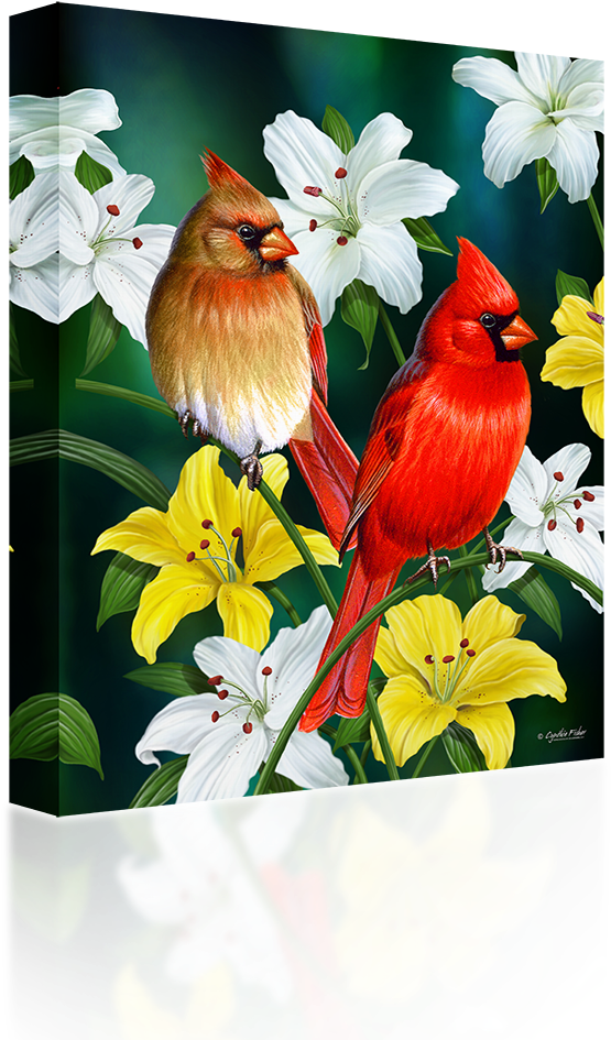 Cardinalsand Lilies Artwork PNG Image