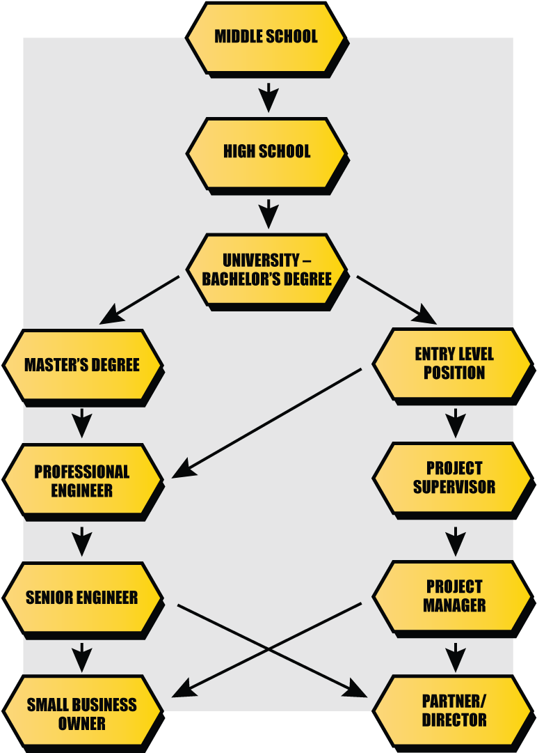 Career Progression Flowchart PNG Image