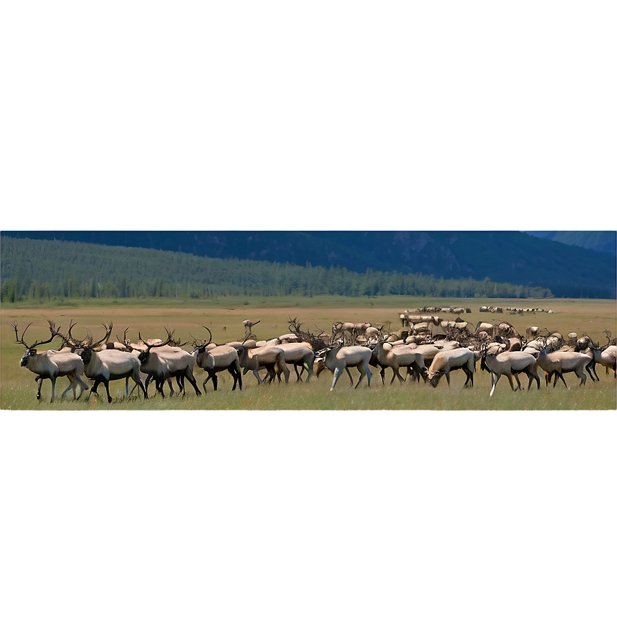 Caribou Herd Against Mountains Png 06292024 PNG Image