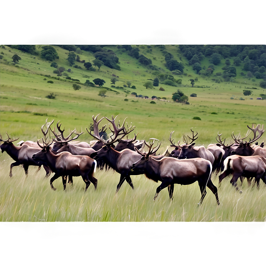 Caribou Herd Against Mountains Png Roa PNG Image