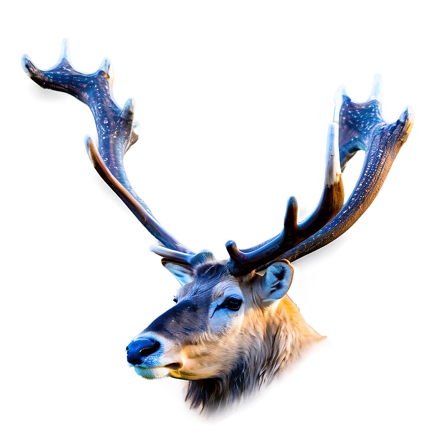 Caribou In Misty Morning Png Wor PNG Image