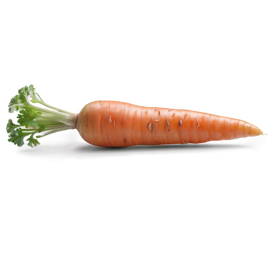 Carrot Isolated Png 05242024 PNG Image