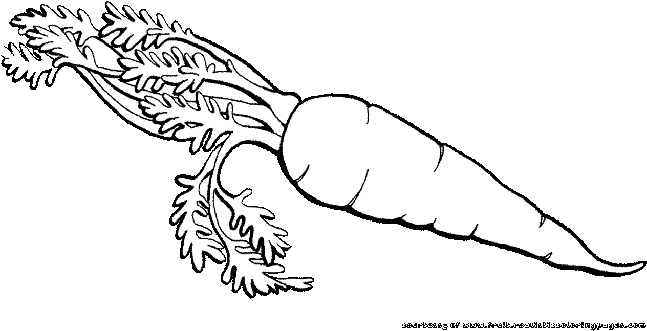 Carrot Line Drawing PNG Image