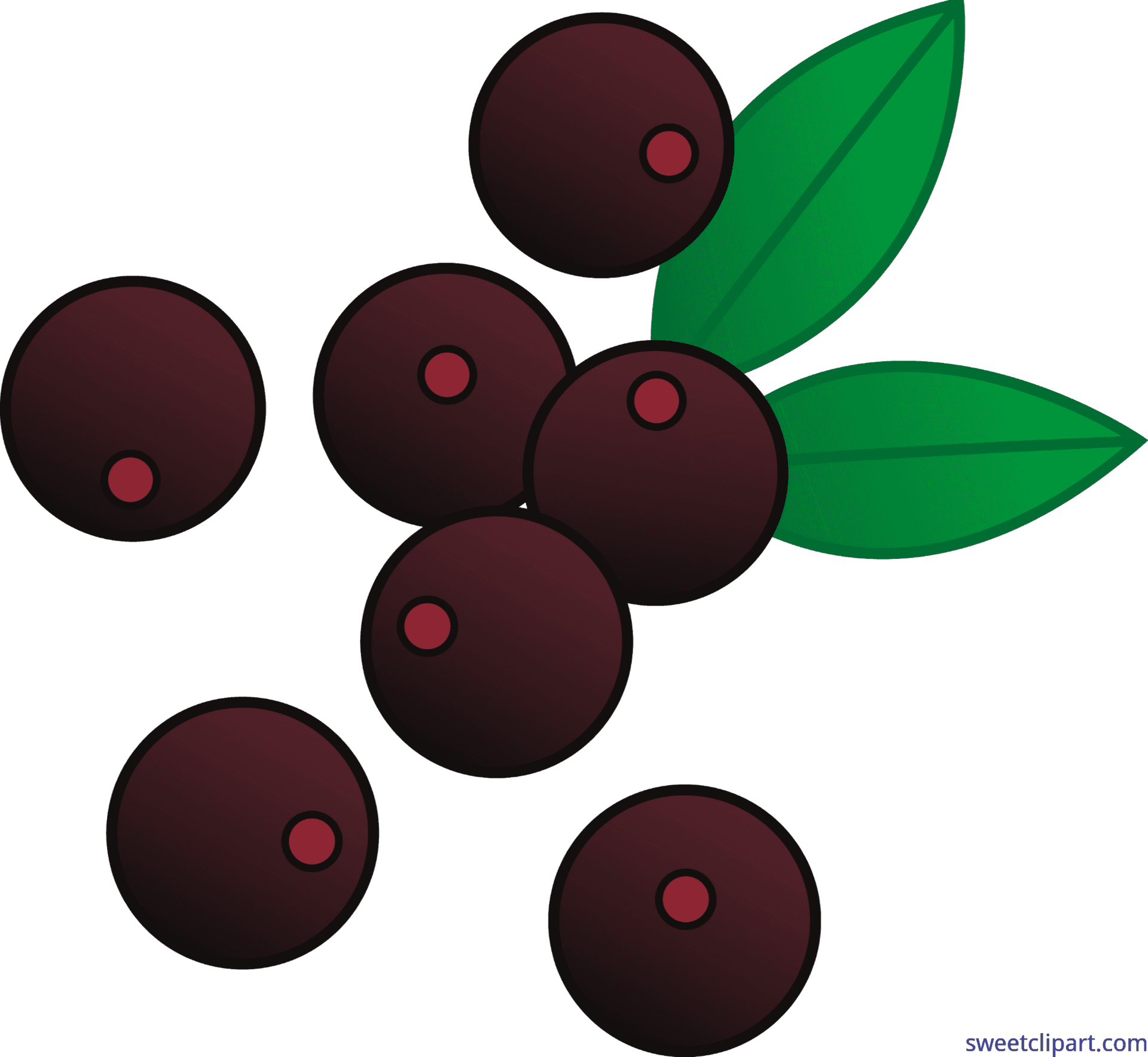 Cartoon Acai Berries Illustration PNG Image