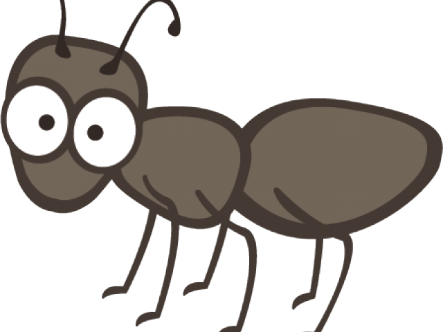 Cartoon Ant Illustration PNG Image