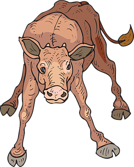 Cartoon Baby Calf Illustration PNG Image