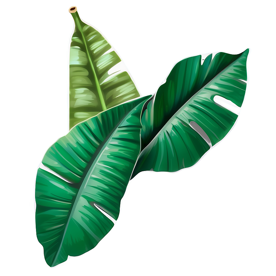 Cartoon Banana Leaf Png 06232024 PNG Image