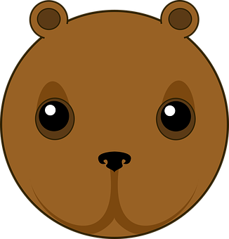 Cartoon Bear Face Graphic PNG Image