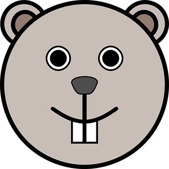 Cartoon Bear Face Graphic PNG Image