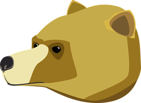 Cartoon Bear Head Vector PNG Image