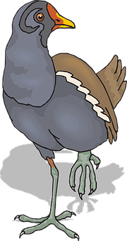 Cartoon Birdwith Distorted Shadow PNG Image