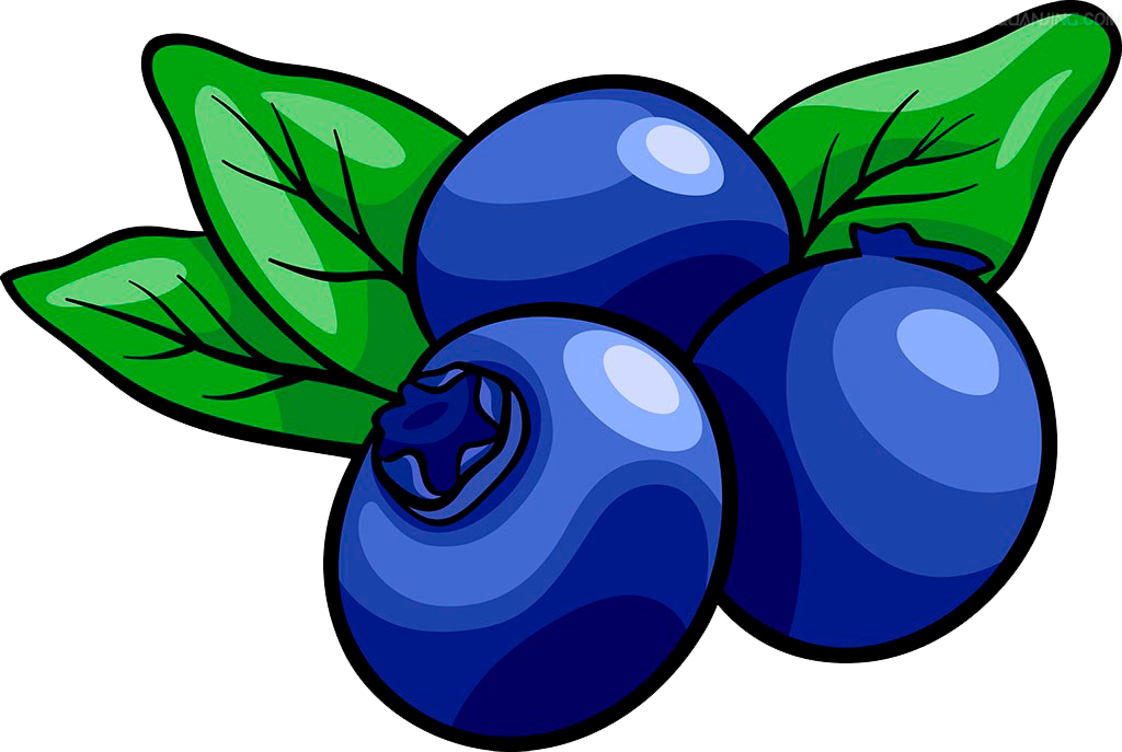 Cartoon Blueberries Illustration PNG Image