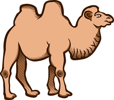 Cartoon Camel Illustration PNG Image