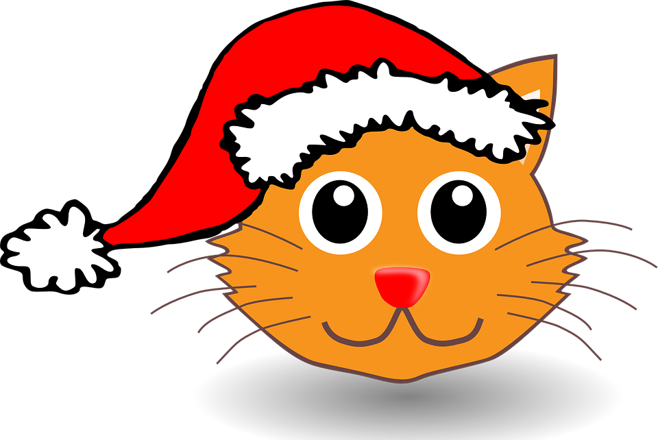 Cartoon Catin Santa Hat PNG Image