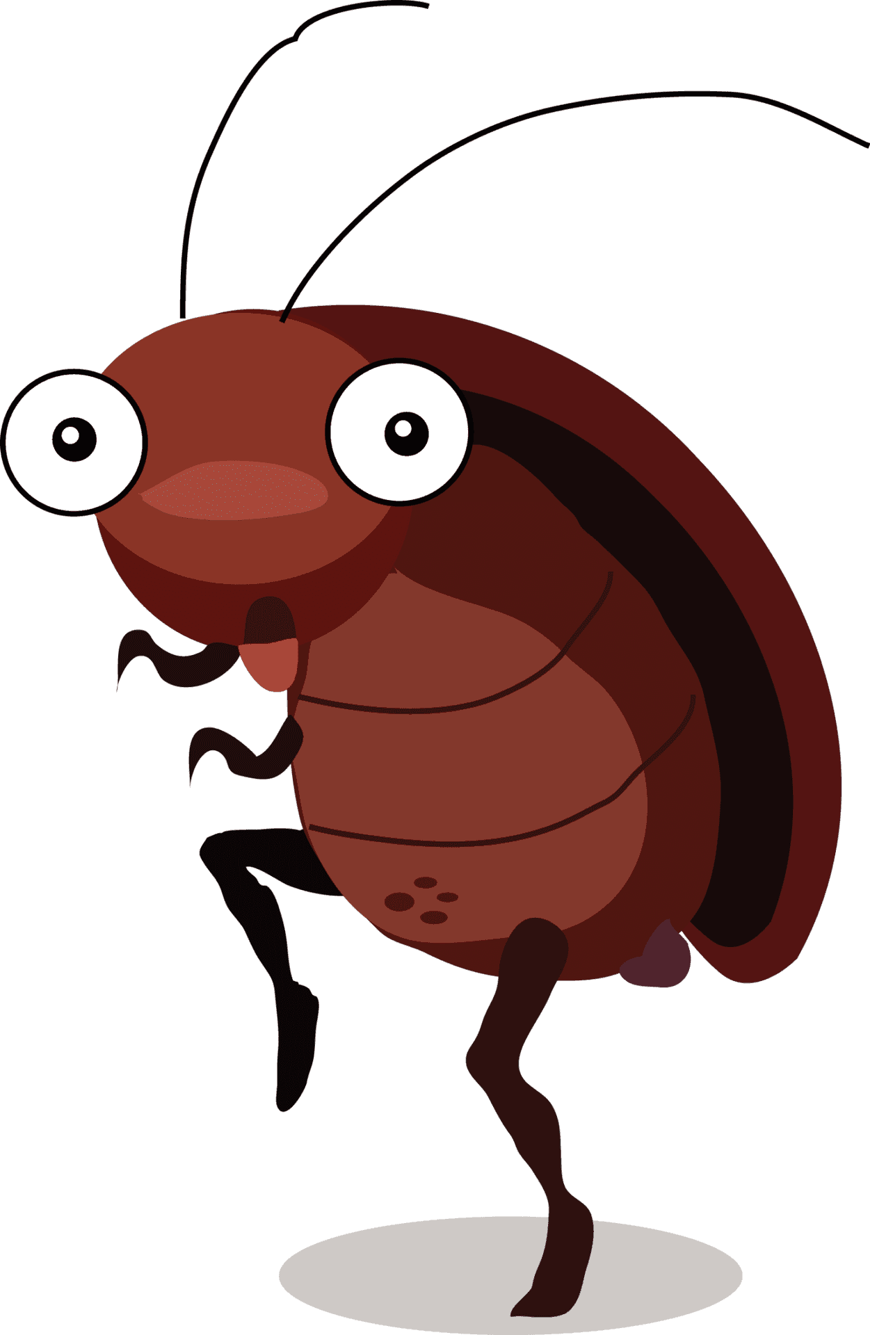 Cartoon Cockroach Standing PNG Image