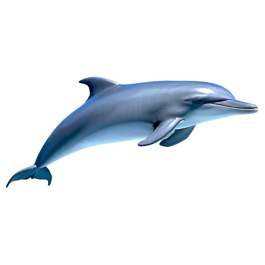 Cartoon Dolphin In Ocean Png Sut PNG Image