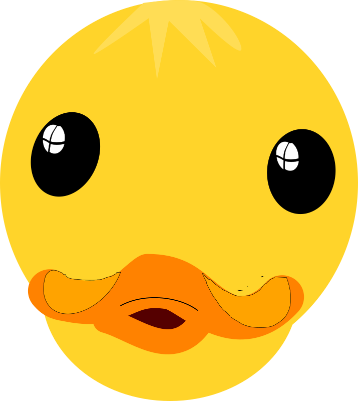 Cartoon Duck Face Graphic PNG Image