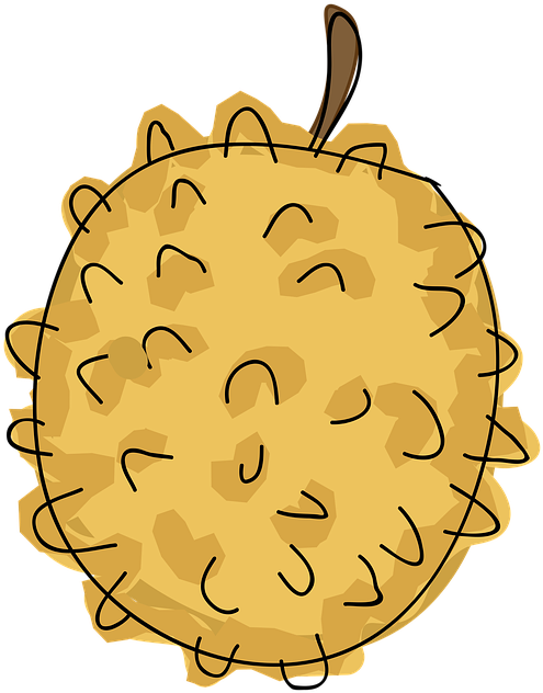 Cartoon Durian Fruit Illustration PNG Image