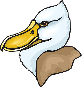 Cartoon_ Eagle_ Head_ Vector PNG Image