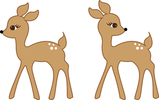 Cartoon Fawn Twins PNG Image