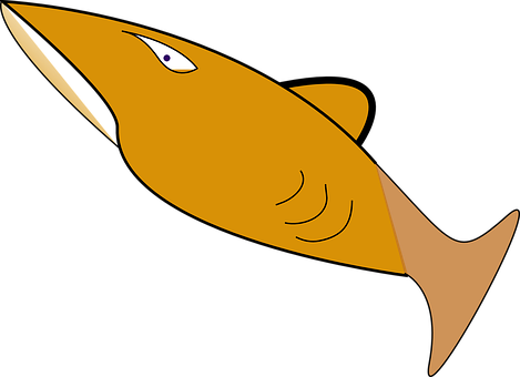 Cartoon Fish Illustration PNG Image