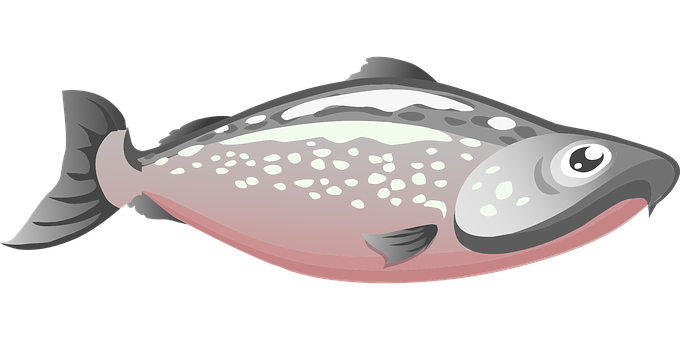 Cartoon_ Flatfish_ Illustration PNG Image