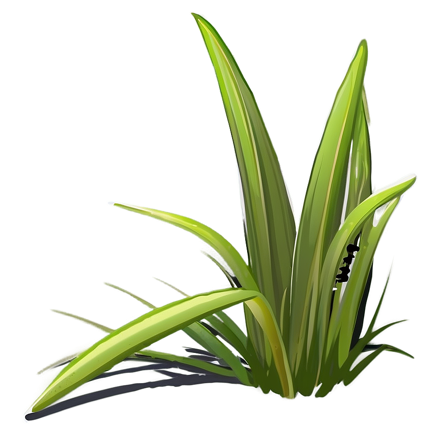 Cartoon Grass Blades Png Ads19 PNG Image